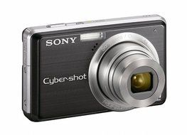 Sony Cybershot DSC-S950 10MP Digital Camera with 4x Optical Zoom with Super Steady Shot Image Stabilization (Silver) N16