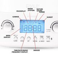SunSOUNDS Colored Sunrise Simulation Wake Up Light with 10 Brightness Settings , Bluetooth Stereo Speaker and... N4