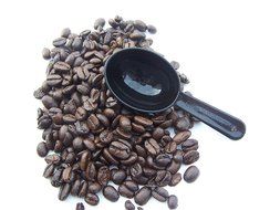 Casual Grounds 1 Tablespoon Durable Coffee Scoop N4
