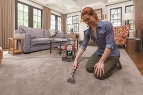 Hoover FH11300PC Spotless Portable Carpet &amp; Upholstery Spot Cleaner, N6