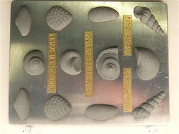 Sea Shell Assortment Small AO259 All Occasion Chocolate Candy Mold