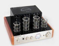 Gowe&reg; Hifi Tube Amplifier 25wx2, Hifi Tube Amp Tube Amp Fever Tube Amp Amplifier Cpi