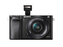 Sony Alpha a6000 Mirrorless Digital Camera with 16-50mm and 55-210mm Power Zoom Lenses N18