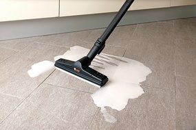 ECOSTEAMVAC TURBO *NA* N8