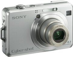 Sony Cybershot DSC-W100 8.1MP Digital Camera with 3x Optical Zoom N7