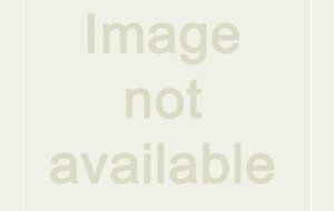 2XL 063005A 900701 Right Handed Chrome Plated Tuf-Teck Stem by 2XL