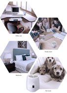 RIGOGLIOSO Desktop Air Purifier, Air Ionizer ,Portable Air Purifier, True HEPA Air Cleaner Remove Cigarette Smoke... N4