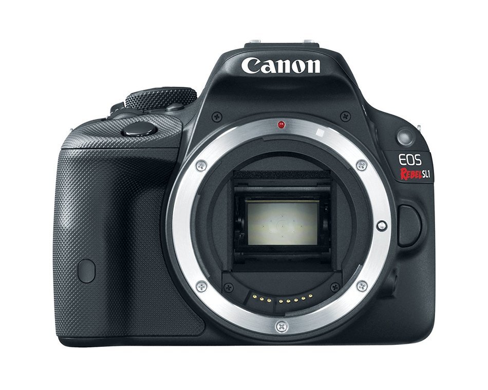 Canon EOS Rebel SL1 Digital SLR with 18-55mm STM Lens (White) N6