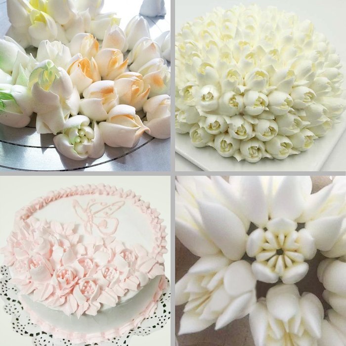 23-Piece Russian Piping Tips,OliveTech Cake Decorating Tips Kits Professional Stainless Steel Large Size Icing... N4