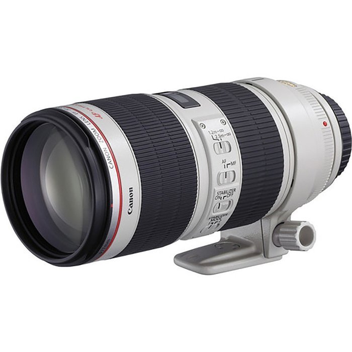 Canon EF 70-200mm f/2.8L IS II USM Lens + 32GB Class 10 High-Speed Memory Card + UV Filter + Lens Cap Holder +... N4
