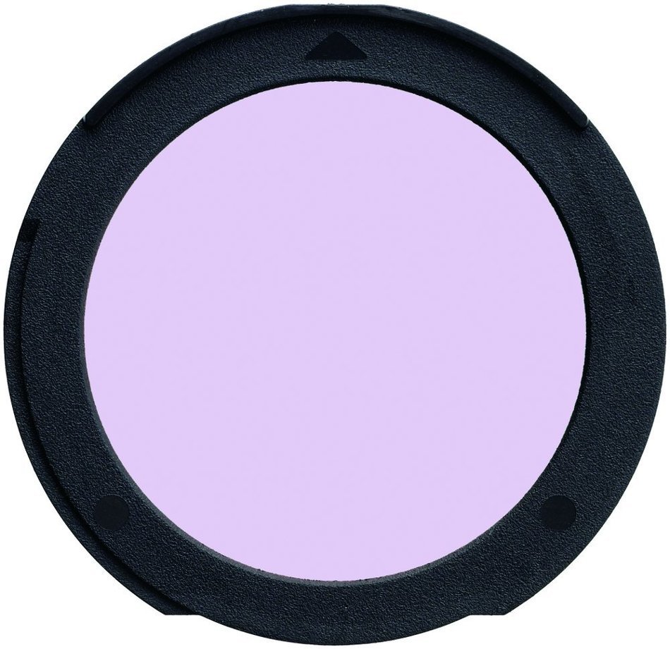 Sigma SD1 SLR N15