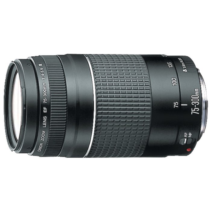 Canon EOS Rebel T5 Digital SLR Camera with EF-S 18-55mm IS II + EF 75-300mm f/4-5.6 III + Canon EF-S 55-250mm... N3