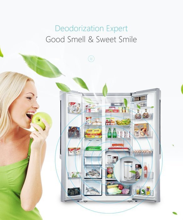 Wokesmart Refrigerator Deodorizer, Ionizer Air Purifier, Fridge Ionic Food Freshener Preserver, Waterproof Ozone... N13