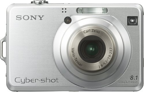 Sony Cybershot DSC-W100 8.1MP Digital Camera with 3x Optical Zoom N6