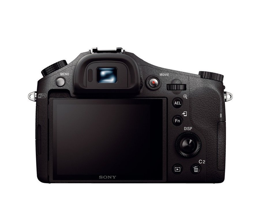Sony DSC-RX10M II Cyber-shot Digital Still Camera with Microphone Bundle N10