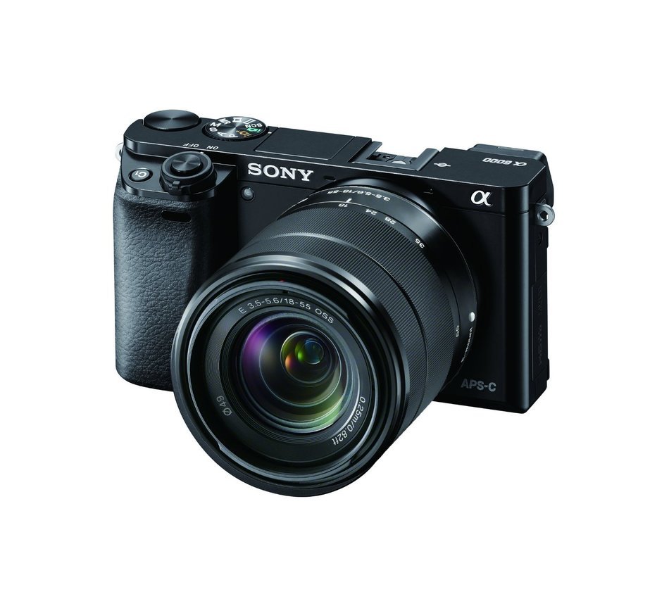 Sony Alpha a6000 Mirrorless Digital Camera with 16-50mm and 55-210mm Power Zoom Lenses N25