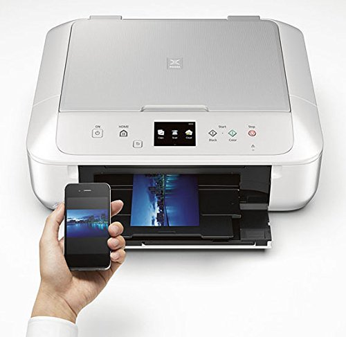 Canon MG6820 Wireless All-In-One Printer with Scanner and Copier with Ink Bundle N14