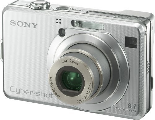 Sony Cybershot DSC-W100 8.1MP Digital Camera with 3x Optical Zoom N8