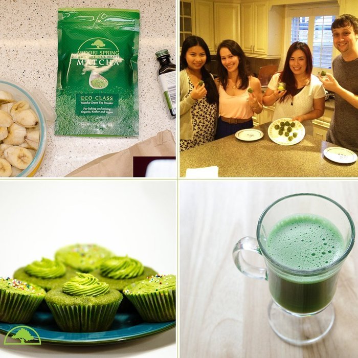 Midori Spring (ECO) Organic Japanese Matcha Green Tea Powder