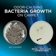 BISSELL Deep Clean + Antibacterial Full Size Carpet Cleaning Formula, 1568 (40oz)