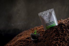 Fresh Darjeeling First Flush Organic Loose Leaf Black Tea- Fresh Black Tea-Lively and Full of Vigour from the...
