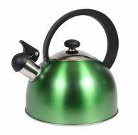 Home Basics 2.5l Tea Kettle - Stainless Steel Matte (Green)