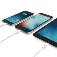 [Apple MFI Certified] 1byone Lightning to USB Cable 3.3ft (1 Meter) for iPhone 7 7 Plus 6s 6 Plus 5s SE 5c 5,... N6