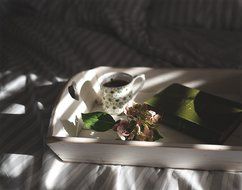 Fresh Darjeeling First Flush Organic Loose Leaf Black Tea- Fresh Black Tea-Lively and Full of Vigour from the... N5