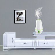 BasicWu Cool Mist Humidifier, Portable Aroma Diffuser, Small Air Humidifier Great for Personal Spaces, Office,... N7