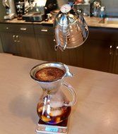 CoastLine Pour Over Gooseneck Kettle with Thermometer and Digital Kitchen Scale Bundle | Stainless Steel Kettle...