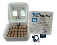 HovaBator Advanced Egg Incubator Combo Kit: includes incubator, fan kit, egg turner, digital thermometer/hygrometer