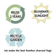 LYSA&reg; 100% Organic Natural Bamboo Charcoal Bag - Home / Car Air Cleaner, Air Refreshing Agent (Green - 500g)