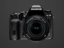 Olympus E30 12.3MP Digital SLR with Image Stabilization (Body Only) N14