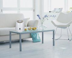 RIGOGLIOSO Desktop Air Purifier, Air Ionizer ,Portable Air Purifier, True HEPA Air Cleaner Remove Cigarette Smoke... N8