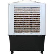 Honeywell CO48PM 100 Pt. Commercial Indoor/Outdoor Portable Evaporative Air Cooler - White/Grey N9