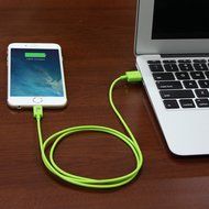 [Apple MFI Certified] 1byone Lightning to USB Cable 3.3ft (1 Meter) for iPhone 7 7 Plus 6s 6 Plus 5s SE 5c 5,... N19