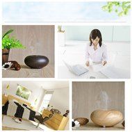 CNUALV Ultrasonic Ion Humidifier Purifier Aroma Air Aromatherapy Essential Oil Diffuser Ionizer for Bedrooms Living...
