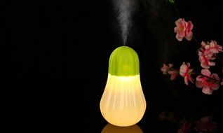 High Quality New USB Portable Blowing Control Type Mistorizer Pumpkin Mini Humidifier Office Air Diffuser Home... N3