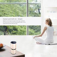 Becoler Car Air Purifier,Smart Car Air Ionizer, Ionic Purifier, Odor Eliminator, Auto Air Cleaner Car Freshener... N5