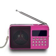 Timorn Portable Digital Receiver Supports TF Card/USB/MP3 format/FM Radio Function (Black) N8