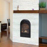 Duluth Forge Dual Fuel Vent Free Fireplace Insert - 15,000 BTU, T-Stat, Brick Liner