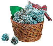 Color Pinecones in Basket