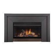Roxbury Basic Fireplace Insert - Natural Gas