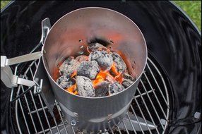 Light-a-Fire, Amazon's Best All-natural Fire Starter, 30 Pods with Container N3