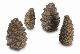 4 Assorted Sizes Designer Pine Cones