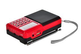 Timorn Portable Digital Receiver Supports TF Card/USB/MP3 format/FM Radio Function (Black) N10
