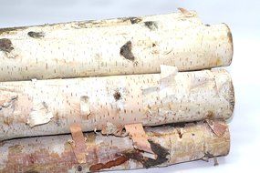 Northern white birch logs. set of 8 logs