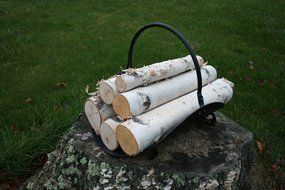 White Birch Log Set for Fireplace N2