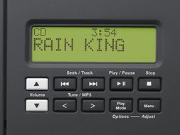 Bose Acoustic Wave Music System II - Graphite Gray N4