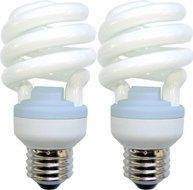 GE Lighting 75411 Reveal Spiral CFL 13-Watt (60-watt replacement) 800-Lumen T3 Spiral Light Bulb with Medium Base...